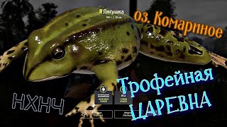 Русская Рыбалка 4 Оз Комариное ЖАБА Царевна Лягушка [upl. by Sehcaep]