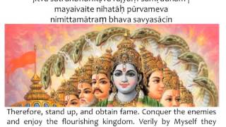 Bhagavad Gita Chapter 11  Verse 33 [upl. by Nowd]