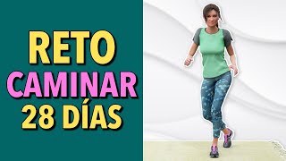 Reto de Caminata de 28 Días Entrenamiento Cardio en Casa [upl. by Eiznil409]