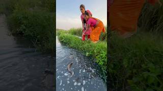 Unique Hook Fishing Video Using Sikol fishingmethods hookfishtrap fishingtechniques fishing [upl. by Lerred]