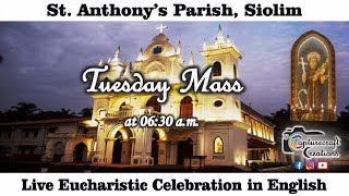 Tuesday English Mass Live at 630am 29th Oct 2024  St Anthonys Church Siolim [upl. by Hairu]