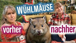 BlumenDEKO Herbst 🌹 Wühlmäuse im Garten 🐀  5 einmalblühende Rambler WURZELNACKT [upl. by Eledoya539]