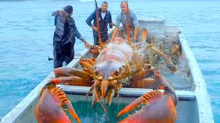 15 Most Dangerous Crustaceans In The World [upl. by Etnoved]