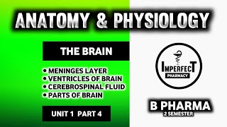 Brain  Parts Of Brain  Meninges  Ventricles Of Brain  Human Anatomy And Physiology  B Pharma [upl. by Wohlert52]