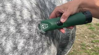 Medium duty clippers for horse clipping  Masterclip Cordless Clipper and 7FW blade horsegrooming [upl. by Squires]