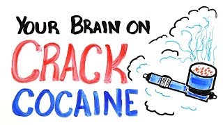 Your Brain on Crack Cocaine [upl. by Essa]