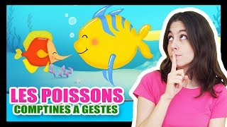 Les petits poissons dans leau  Comptines à gestes pour les bébés  Titounis [upl. by Sillyrama]