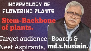 Stem  backbone of plants  Morphology of flowering plants [upl. by Fee824]