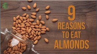 9 Powerful Benefits of Almonds For Skin Health And Weight Loss  Organic Facts [upl. by Haneehs760]