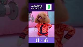 Alfabeto em inglês  Abc song ingles [upl. by Kacie]