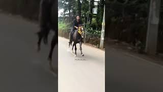 KERALAHORSERIDING Kerala horse riding in kerala road ❤️ [upl. by Huoh40]