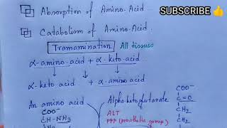 Transamination  Transdeamination of Amino Acids  Note  MEDU [upl. by Varuag]