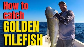 How to catch GOLDEN TILEFISH [upl. by Genisia]