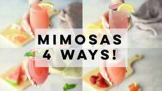 Mimosa Recipes  4 Ways [upl. by Kaila]