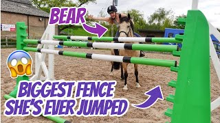 BEARS LAST JUMP  The biggest my pony has EVER jumped [upl. by Orville]