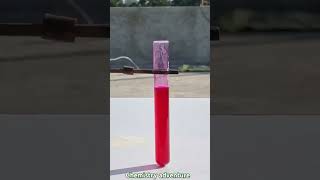 Science experiments Acid base indicator chemistry science viralvideo physics trending [upl. by Rashida788]