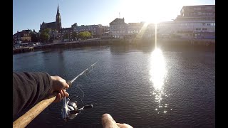 Mackerel Fishing in Lysekils Sweden 2020 [upl. by Cortney236]