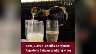 Cava Classic Penedès Corpinnat A guide to Catalan sparkling wines [upl. by Canale]