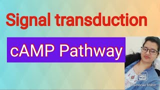 2 GPCR cAMP PathwaySignal transduction [upl. by Sakovich]