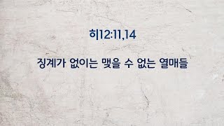 날마다 주님과 히121114 징계섭리와 연단가 없이는 맺을 수 없는 열매들 [upl. by Janus]