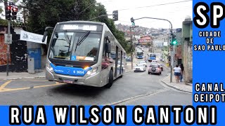 Movimentação de Ônibus SP77  R WILSON CANTONI  suvaco da cobra   Jardim Selma [upl. by Lancelle473]