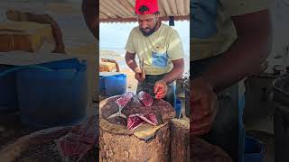 Colourful Skipjack Tuna Fish Cutting Skill  Fastest Tuna Fish Cutting Skill By Expert Fish Cutter [upl. by Pry]