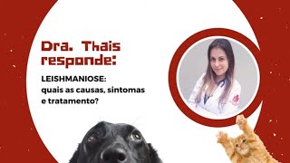 Leishmaniose em cães como é transmitido Quais os sintomas Como é o tratamento [upl. by Kern]