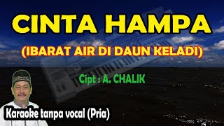 Cinta hampa ibarat air di daun keladi karaoke melayu Dlloyd [upl. by Nnahs321]