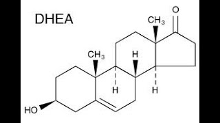 111 DHEA [upl. by Ketchan]