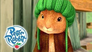 Peter Rabbit  Benjamin Bunny  Rabbits are Brave  Cartoons for Kids 🐰 [upl. by Gelasias590]