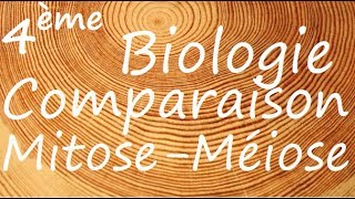 Comparaison mitose méiose [upl. by Ytima]