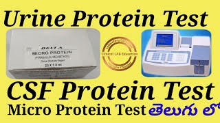 Urine Protein Test And CSF Protein Test in Pyrogallol Red Method in TELUGUDELTA  Erba [upl. by Idelle44]