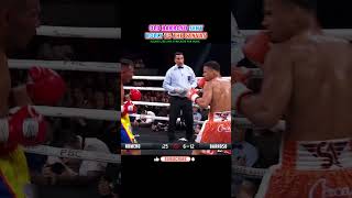 Rolly Romero VS Ismael Barroso  HIGHLIGHTS boxing sports [upl. by Ztnahc]