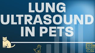 Mastering Lung Ultrasound Patterns in Dogs and Cats [upl. by Collayer]