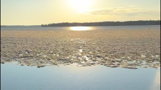 Delavan Lake Ice Report Feb 9th 2024 [upl. by Aratahs]