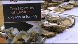 Oyster Tasting Guide [upl. by Hilel]