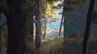 Serenading Spring in Croatia  Relaxing Nightingale Nature Sounds [upl. by Hacceber]