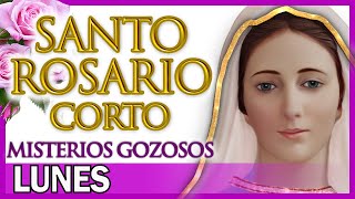 Santo Rosario Corto de Hoy Lunes 🌿 Misterios Gozosos 🙏 Rosario a Santa Virgen María [upl. by Hanimay]