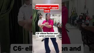 Myotomes of upper limb music medical physiotherapy [upl. by Adlanor]