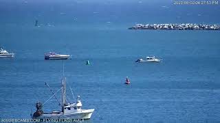 Port San Luis Kite Foil  Webcam Recap  805 Webcams [upl. by Ennasirk]