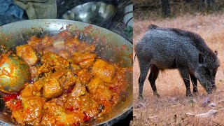 Wild Boar  Jangli Suar Recipe jungli pig meat janglisuarrecipe outdoorcooking [upl. by Maker]