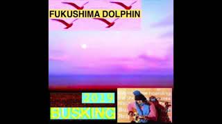 Fukushima Dolphin  Taking In The Scenery Busking 2019 [upl. by Aivax]