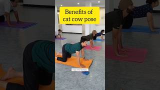 Benefits of Cat Cow  Marjariasana  yogasana shorts short [upl. by Asirralc]