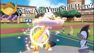 Is Raging Bolt Just a Passing Gimmick Pokémon Scarlet and Violet WiFi Battle [upl. by Kelda]