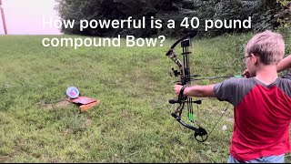 How powerful is a 40 pound compound bow with a broad head [upl. by Atterual694]