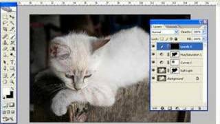 Lesson 2  Part 2 Introduction to Adjustment Layers [upl. by Khanna]