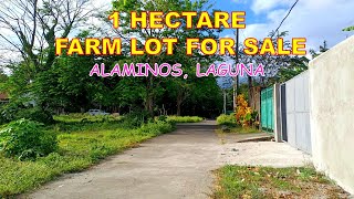 1 HECTARE FARM LOT FOR SALE PROP 164 ALAMINOS LAGUNA [upl. by Charmain]