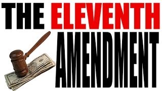 The Eleventh Amendment Explained in 3 Minutes The Constitution for Dummies Series [upl. by Hescock]