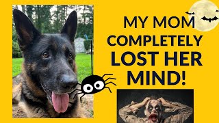 SHOCKING Surprise from a German Shepherds Mom 😱 [upl. by Venditti]