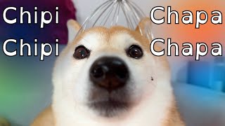 Chipi Chipi Chapa Chapa Dubi Dubi Daba Daba Doge [upl. by Petey841]